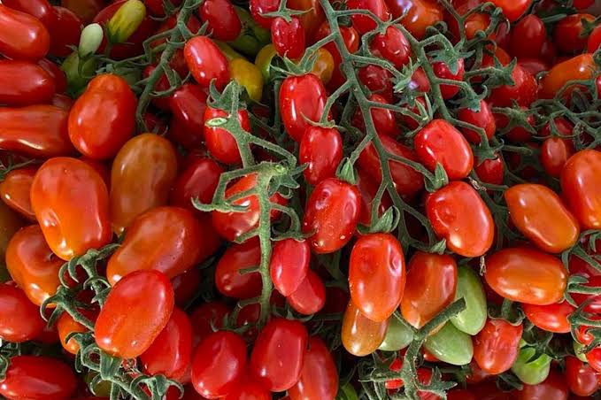 Pomodoro datterino
