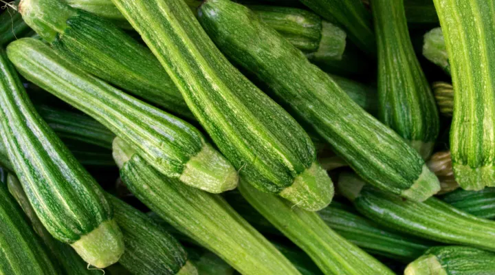 Zucchine fresche
